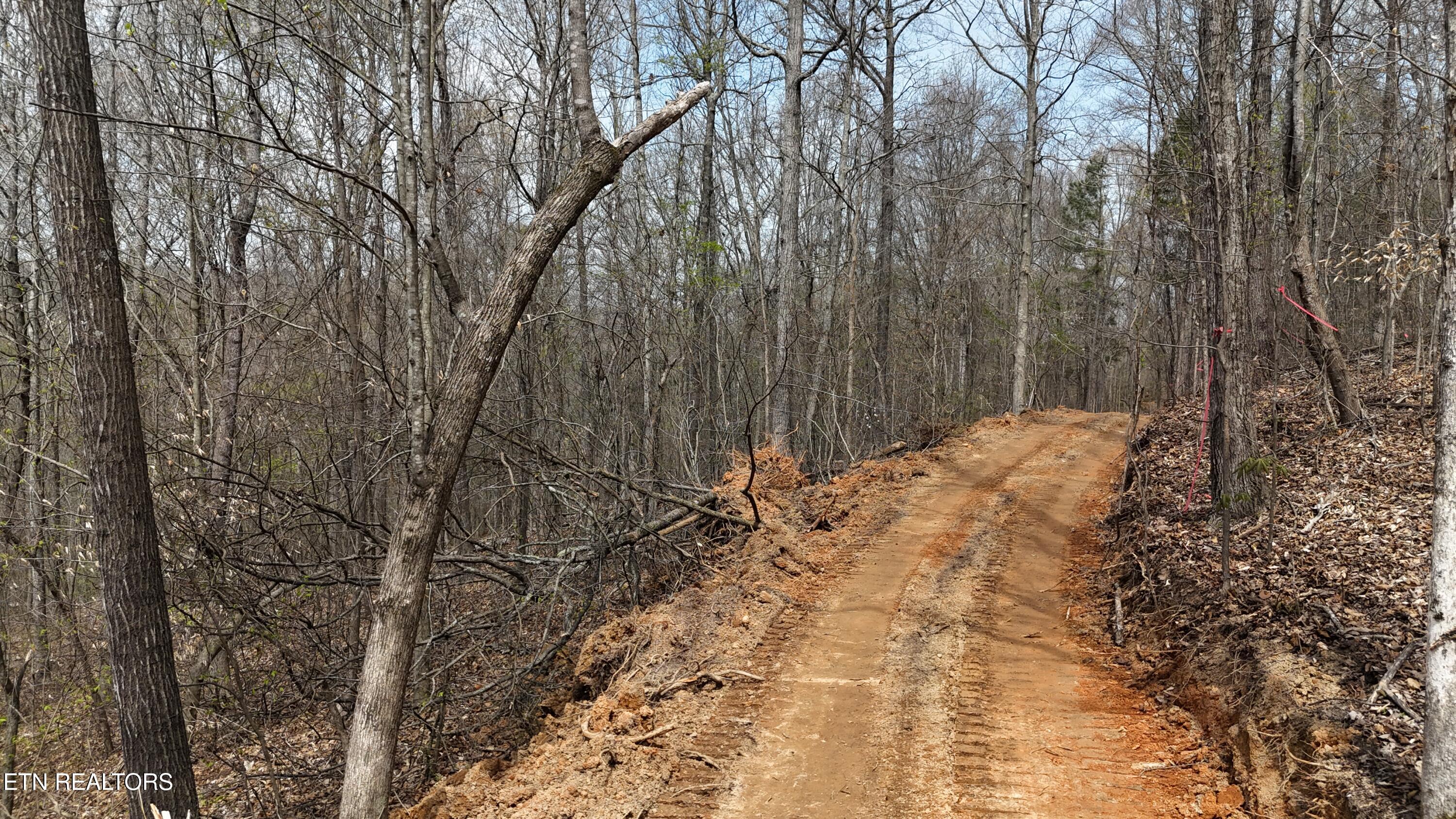 0 Geren Subdivision Lane Decatur, TN 37322 - Photo 21 of 24 dji_fly_20260325_134048_0258_17745556536