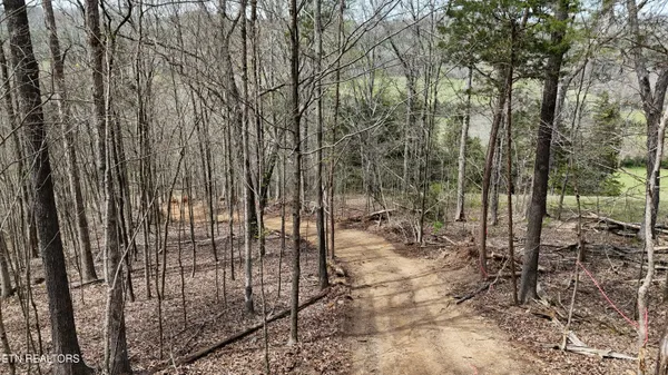 $130,000 | 0 Geren Subdivision Lane, Decatur, TN 37322