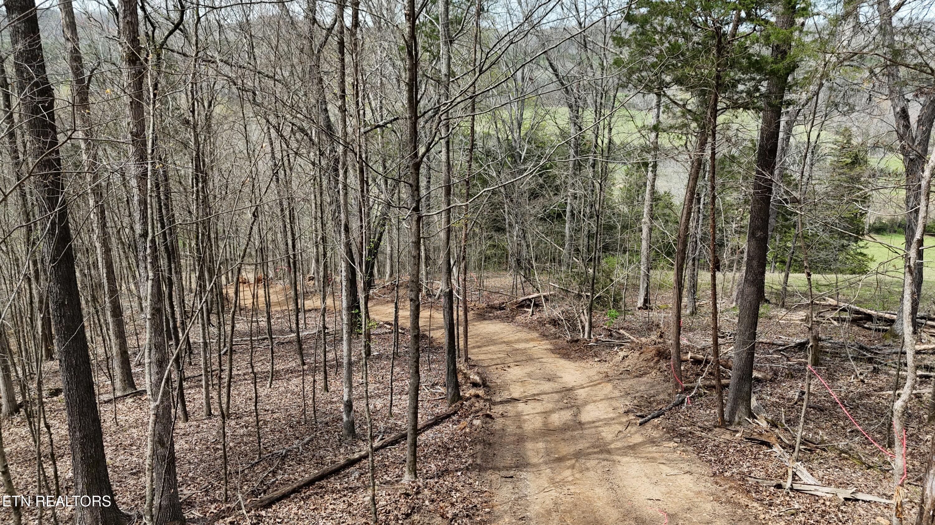 0 Geren Subdivision Lane Decatur, TN 37322 - Photo 22 of 24 dji_fly_20260325_134238_0270_17745556324