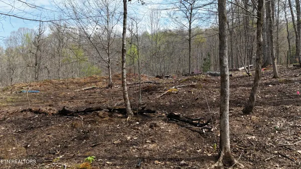 $130,000 | 0 Geren Subdivision Lane, Decatur, TN 37322