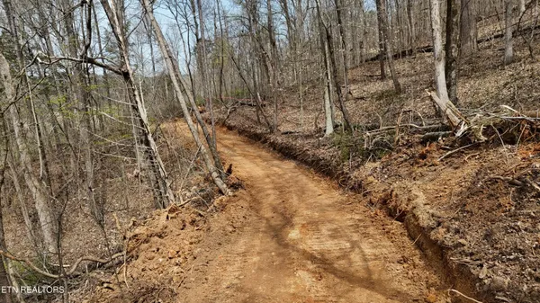 $130,000 | 0 Geren Subdivision Lane, Decatur, TN 37322