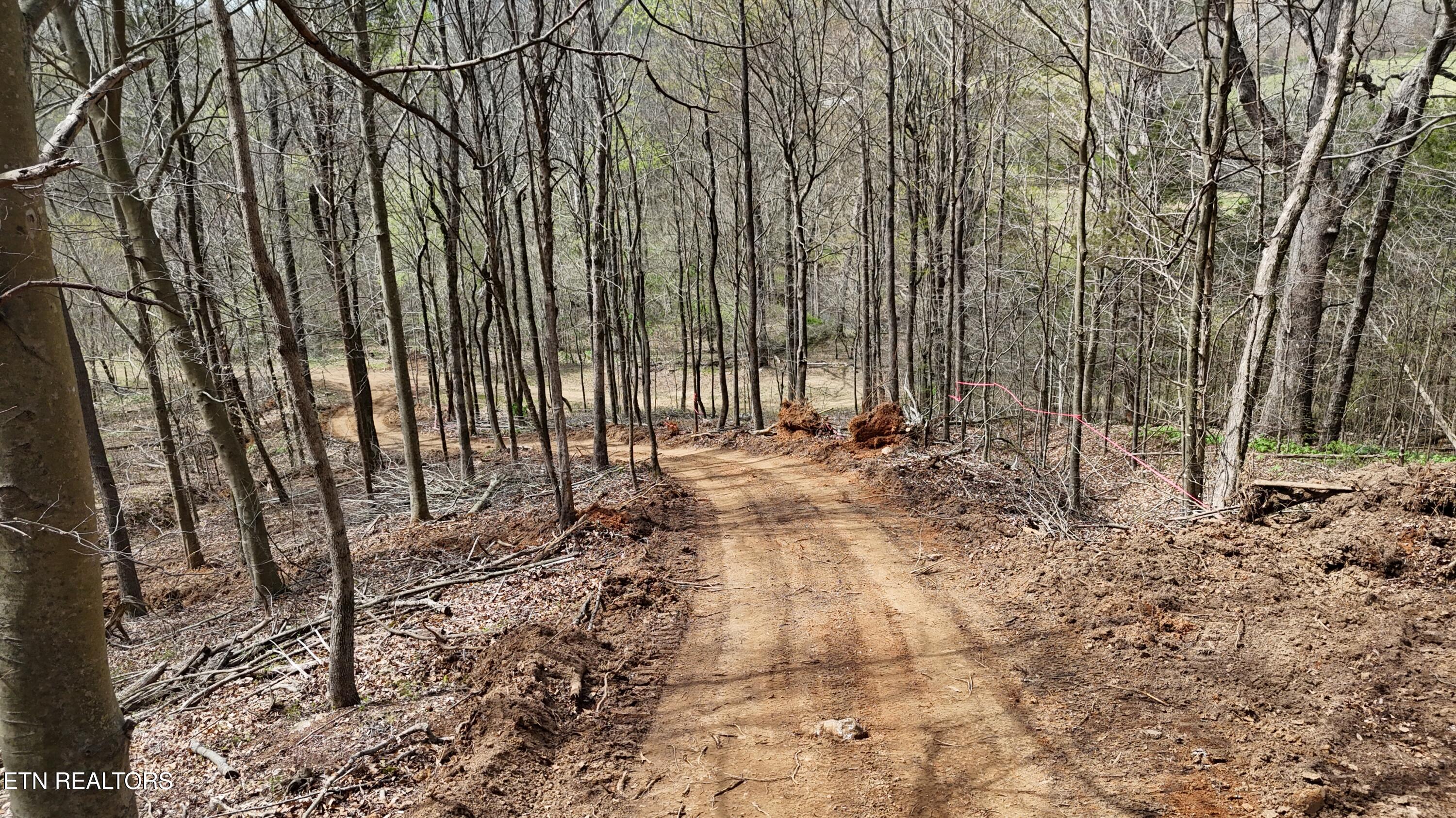 0 Geren Subdivision Lane Decatur, TN 37322 - Photo 3 of 24 dji_fly_20260325_134330_0274_17745556252