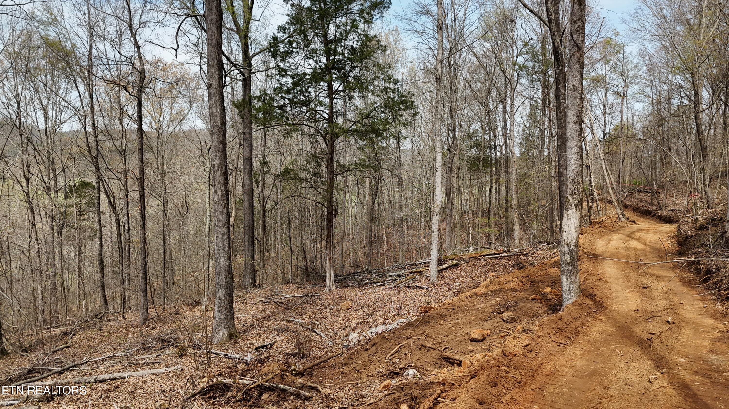 0 Geren Subdivision Lane Decatur, TN 37322 - Photo 4 of 24 dji_fly_20260325_134142_0264_17745556429