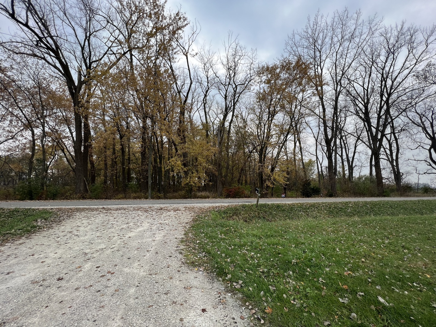 Lot 10 West McGuire Road Wilmington, IL 60481 - Photo 1 of 10 a view of a field with trees in the background