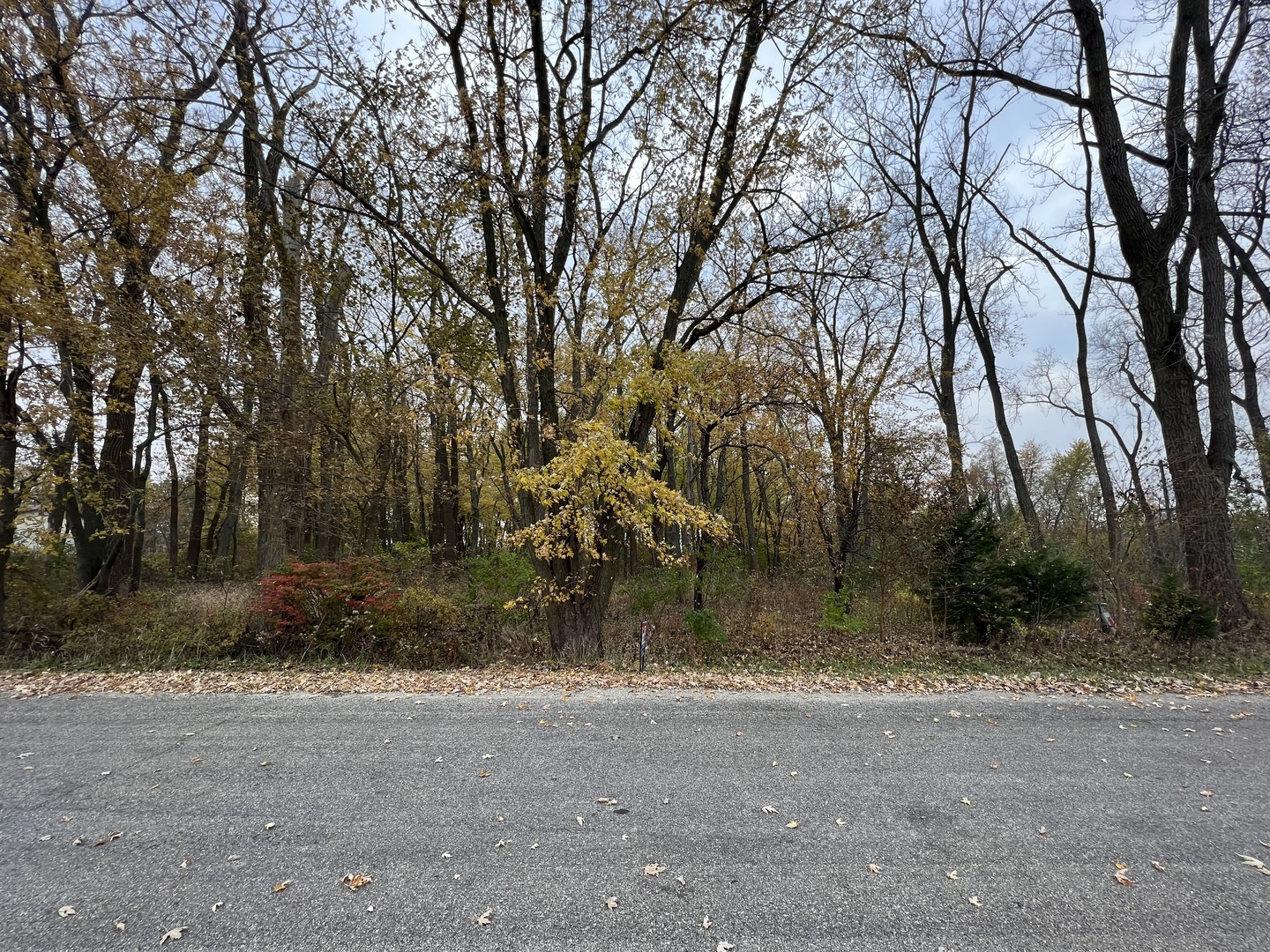 Lot 10 West McGuire Road Wilmington, IL 60481 - Photo 2 of 10 a view of a yard with a tree