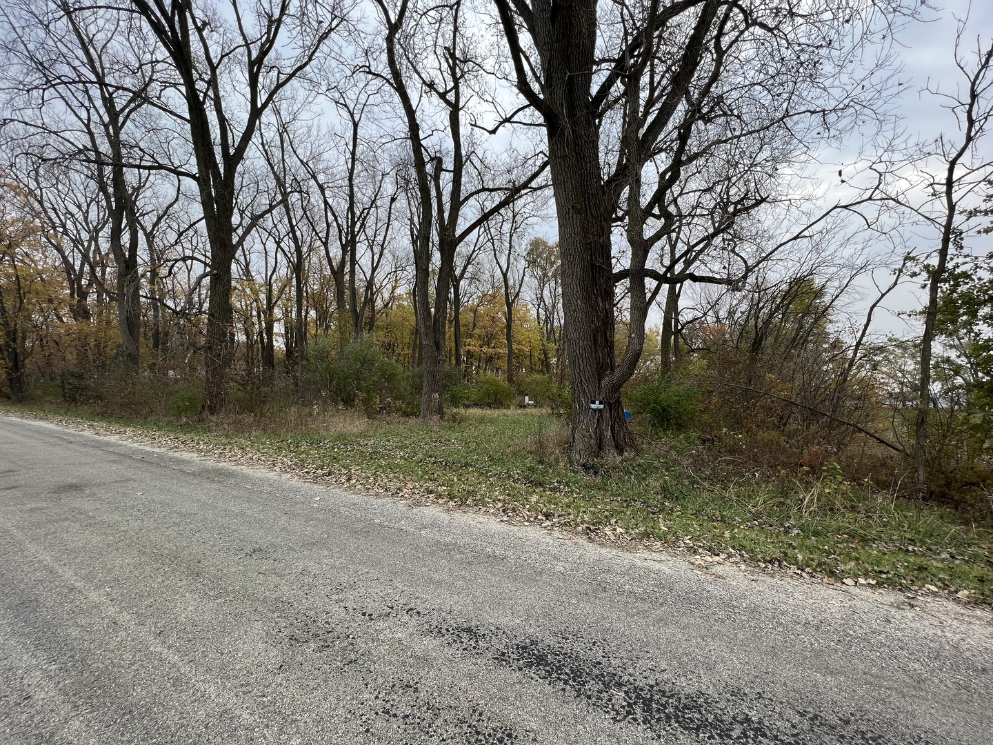 Lot 10 West McGuire Road Wilmington, IL 60481 - Photo 3 of 10 a view of a forest with trees