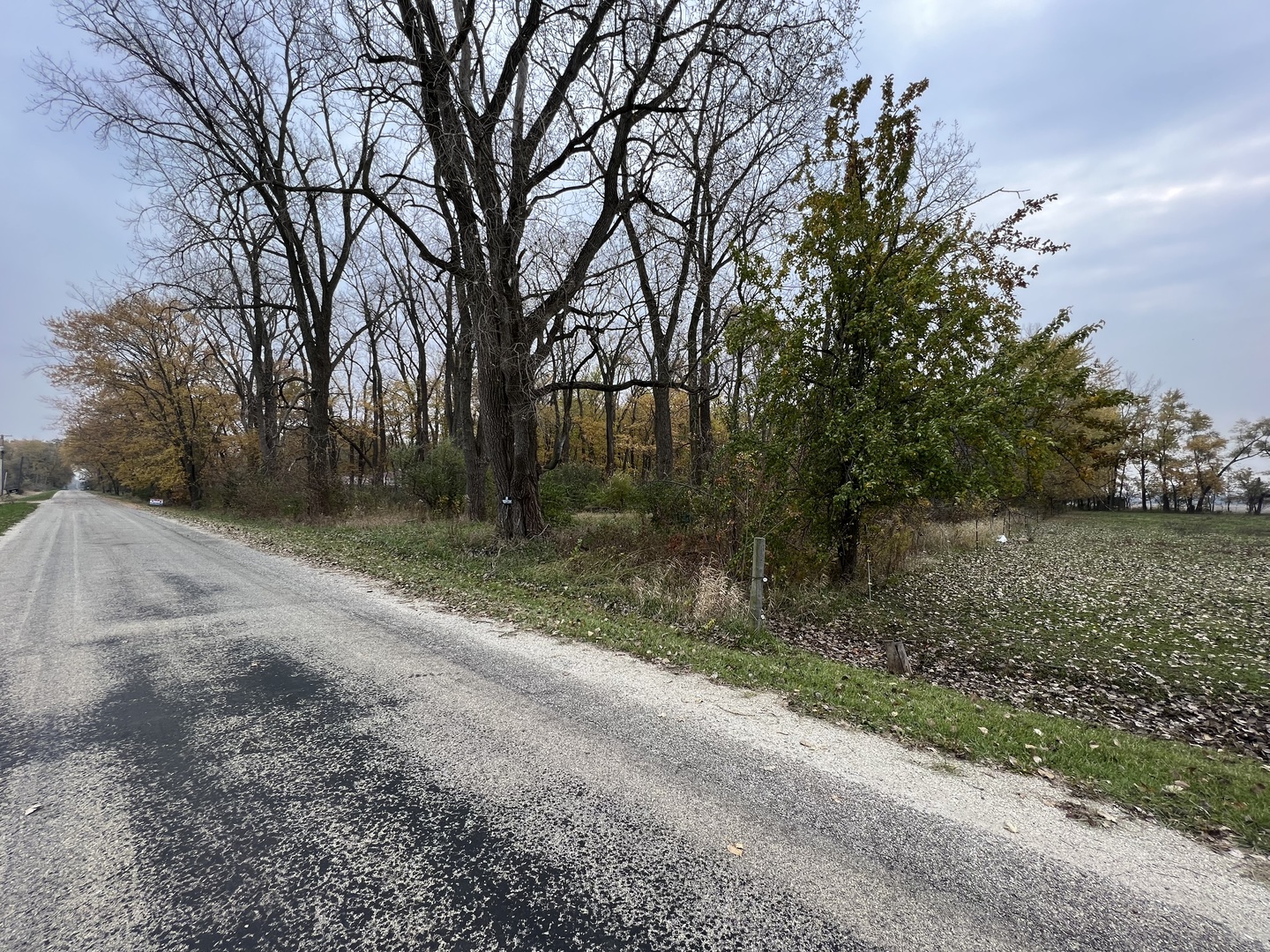 Lot 10 West McGuire Road Wilmington, IL 60481 - Photo 4 of 10 a backyard of a house with lots of green space