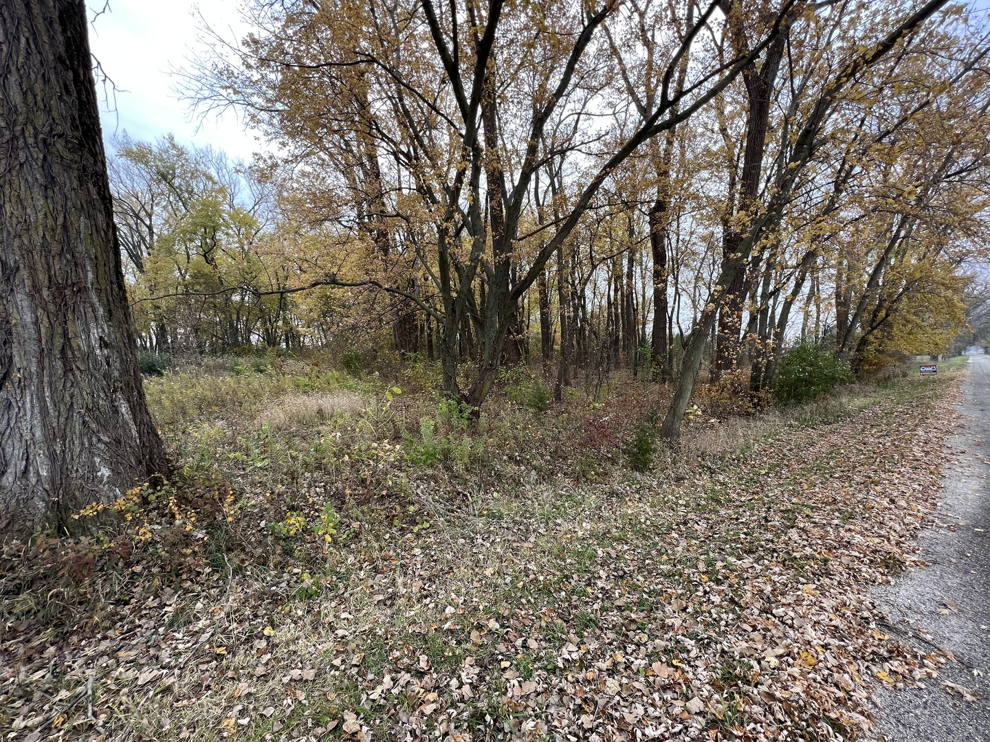 Lot 10 West McGuire Road Wilmington, IL 60481 - Photo 6 of 10 a view of a forest with trees in the background