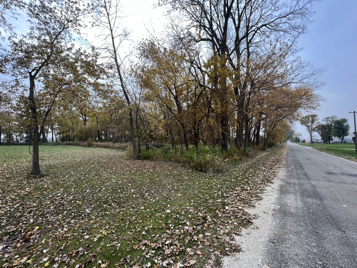 Lot 10 West McGuire Road Wilmington, IL 60481 - Photo 7 of 10 a view of outdoor space with trees