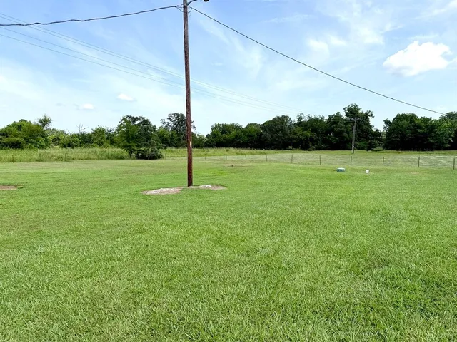 a view of field with tall trees