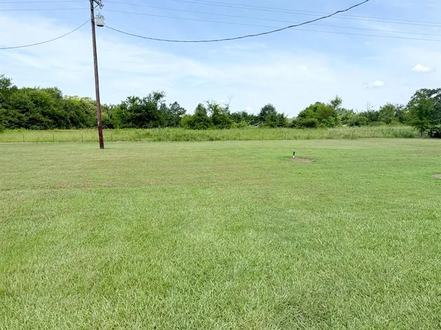 a view of a field with a tree in the background