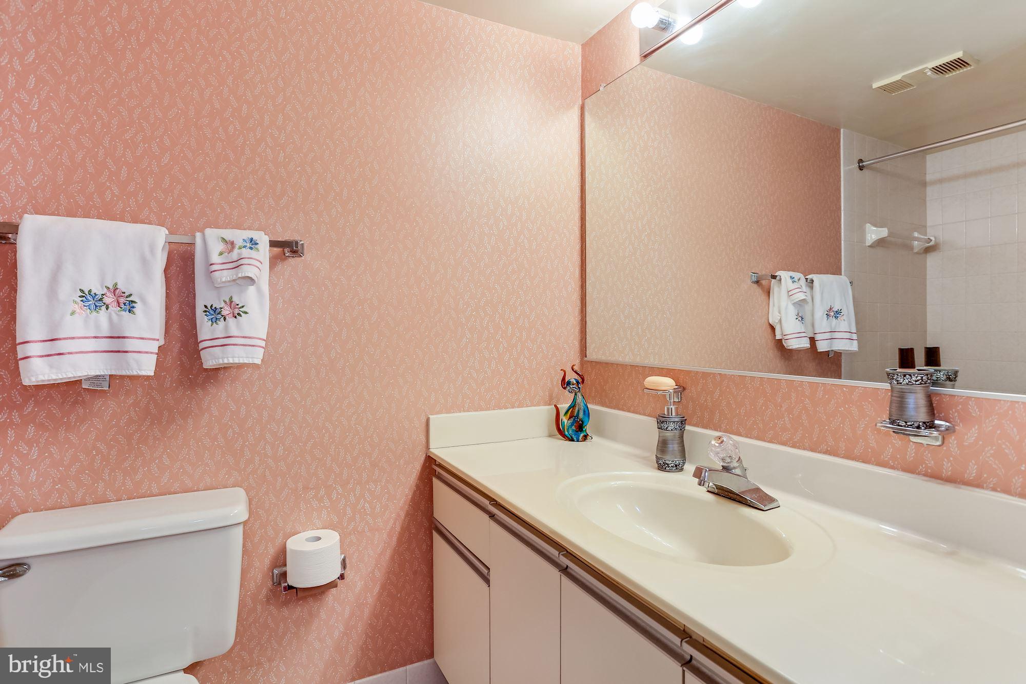 5505 Seminary Road, Unit 1101N Falls Church, VA 22041 - Photo 14 of 28