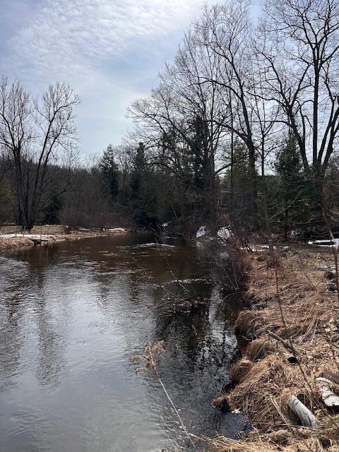 8034 North Johnson Road Irons, MI 49644 - Photo 32 of 35 IMG_5144