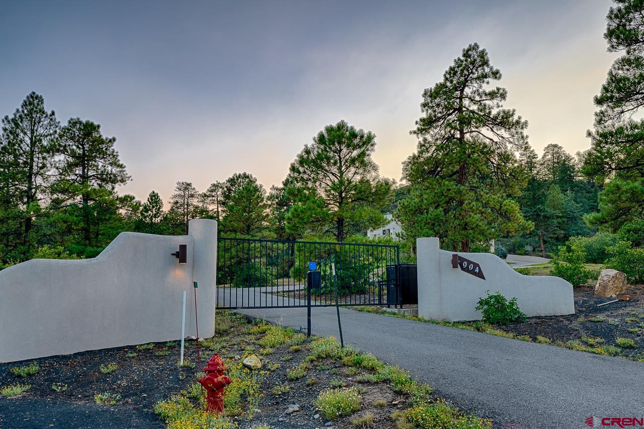 994 Cool Pines Drive Pagosa Springs, CO 81147 - Photo 2 of 35