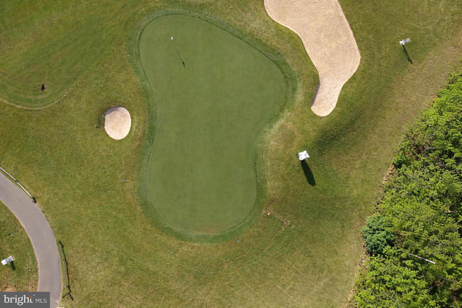 7119 Resolution Way Ruther Glen, VA 22546 - Photo 73 of 79 Serene Golf Course Oasis