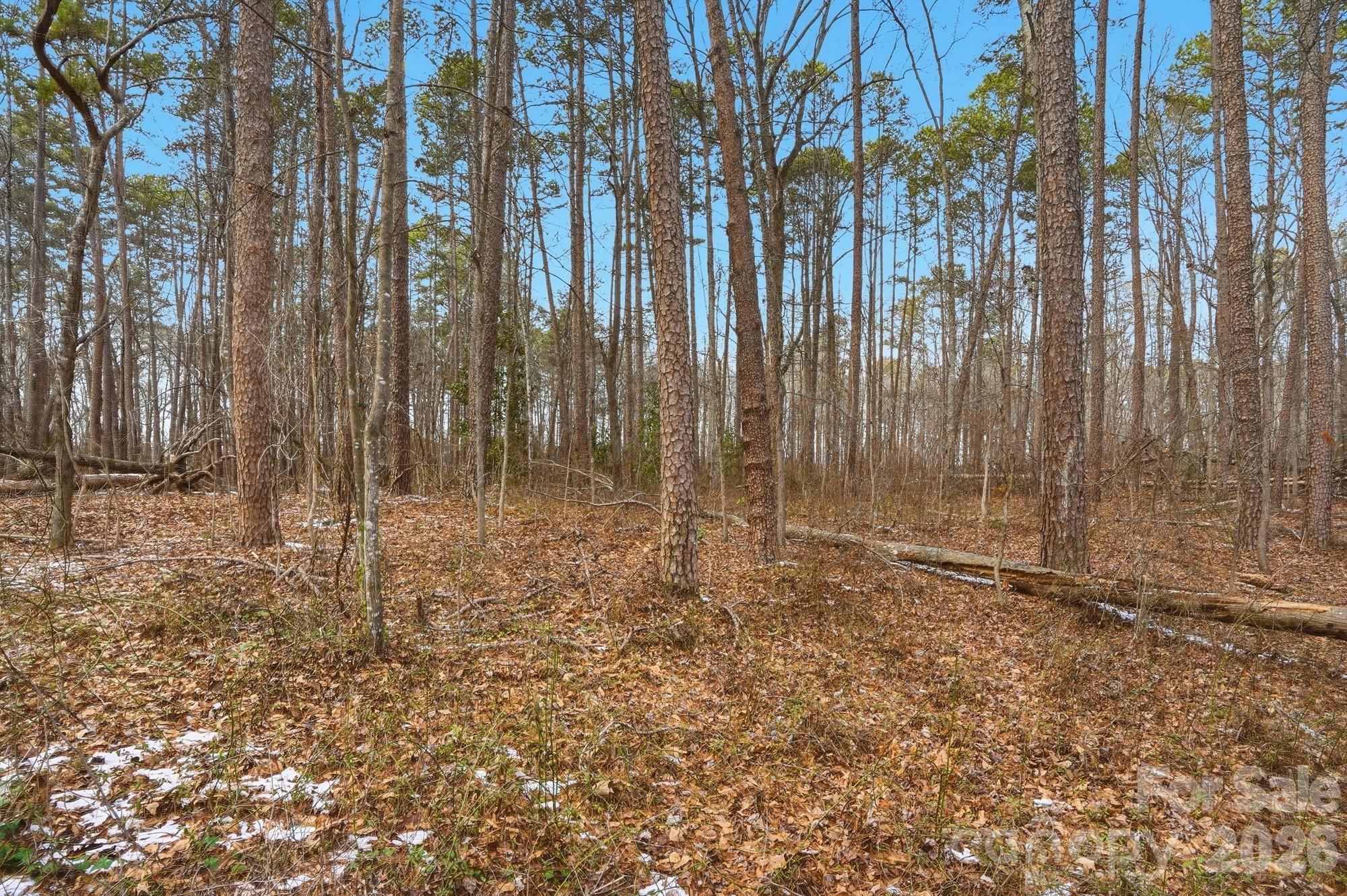 0 West Border Street Dallas, NC 28034 - Photo 11 of 21 a view of room with trees