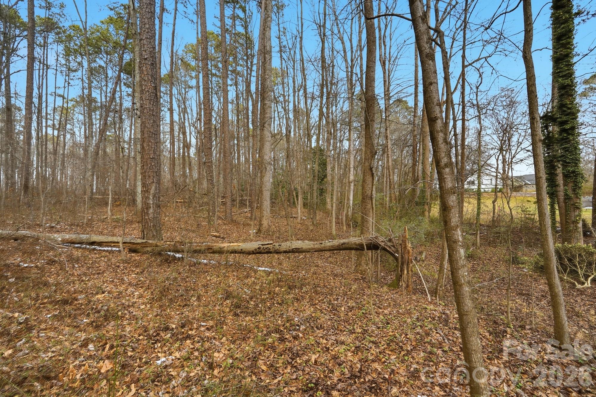 0 West Border Street Dallas, NC 28034 - Photo 12 of 21 a view of backyard with wooden fence