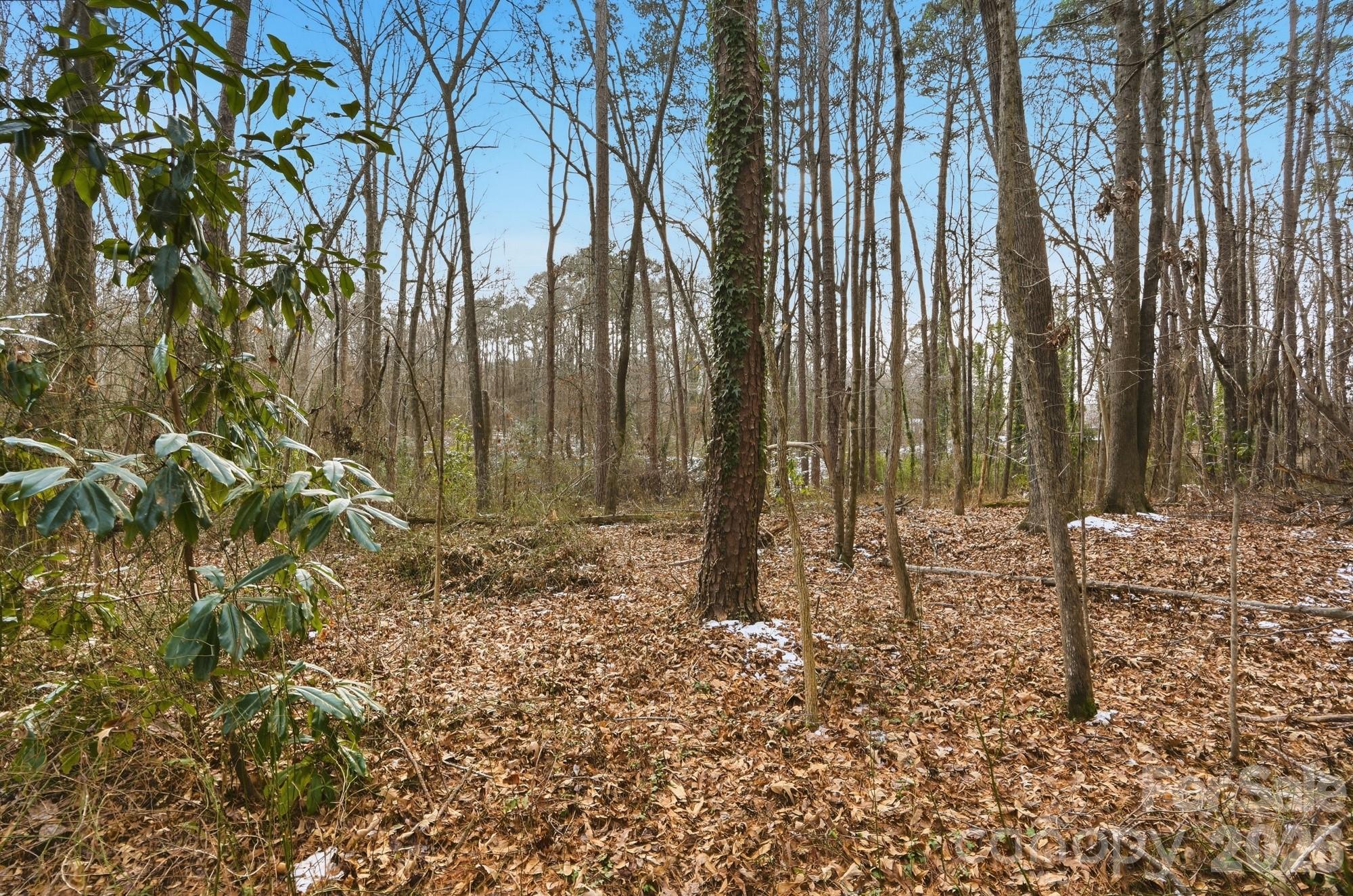 0 West Border Street Dallas, NC 28034 - Photo 13 of 21 a backyard of a house with lots of green space