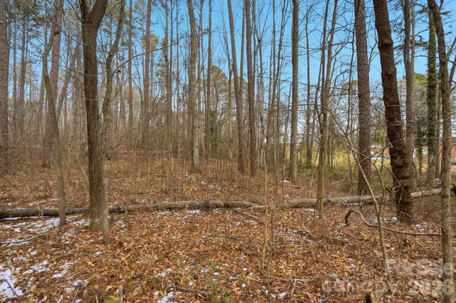 a backyard of a house with lots of green space and glass windows