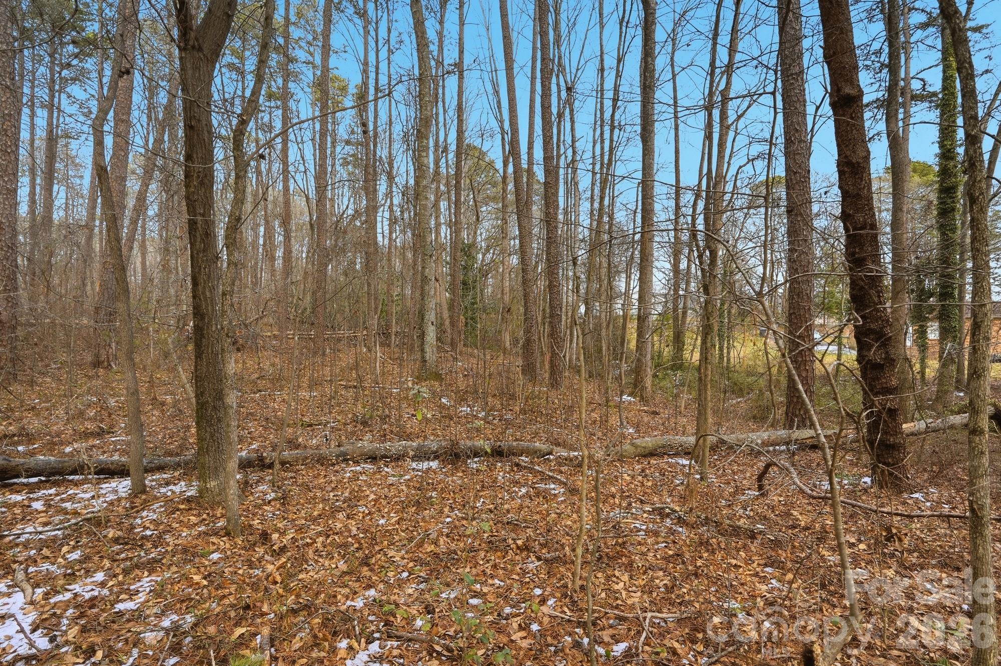 0 West Border Street Dallas, NC 28034 - Photo 16 of 21 a view of bath room with trees