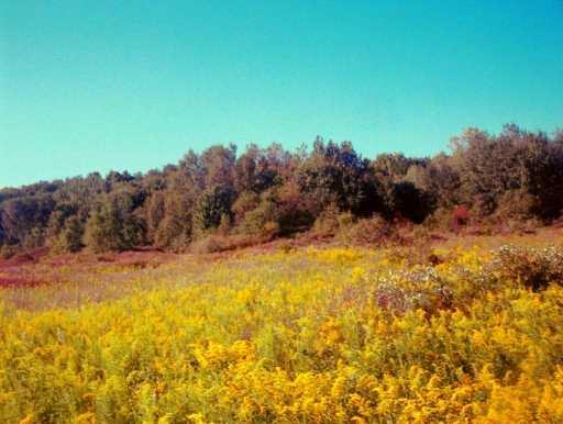 Lot #1 County Line Road Harrisville, PA 16038 - Photo 1 of 6 View.