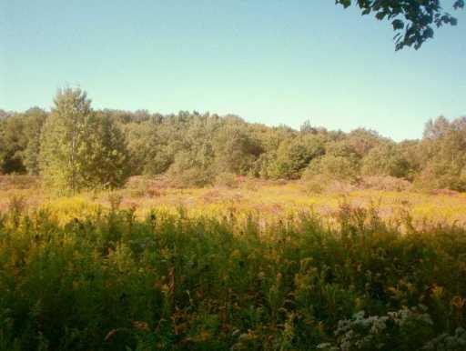 Lot #1 County Line Road Harrisville, PA 16038 - Photo 3 of 6 View.