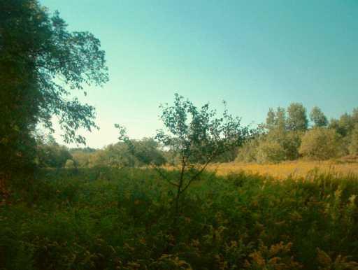 Lot #1 County Line Road Harrisville, PA 16038 - Photo 4 of 6 Other.
