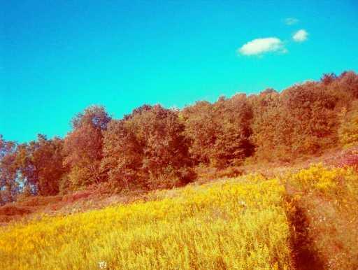 Lot #1 County Line Road Harrisville, PA 16038 - Photo 5 of 6 Other.
