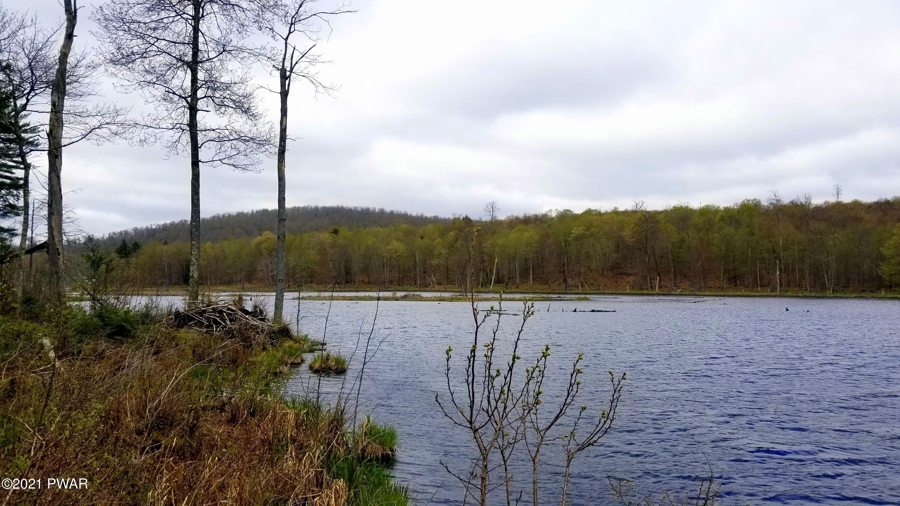 Lot 80 Stonegate Road Equinunk, PA 18417 - Photo 25 of 58