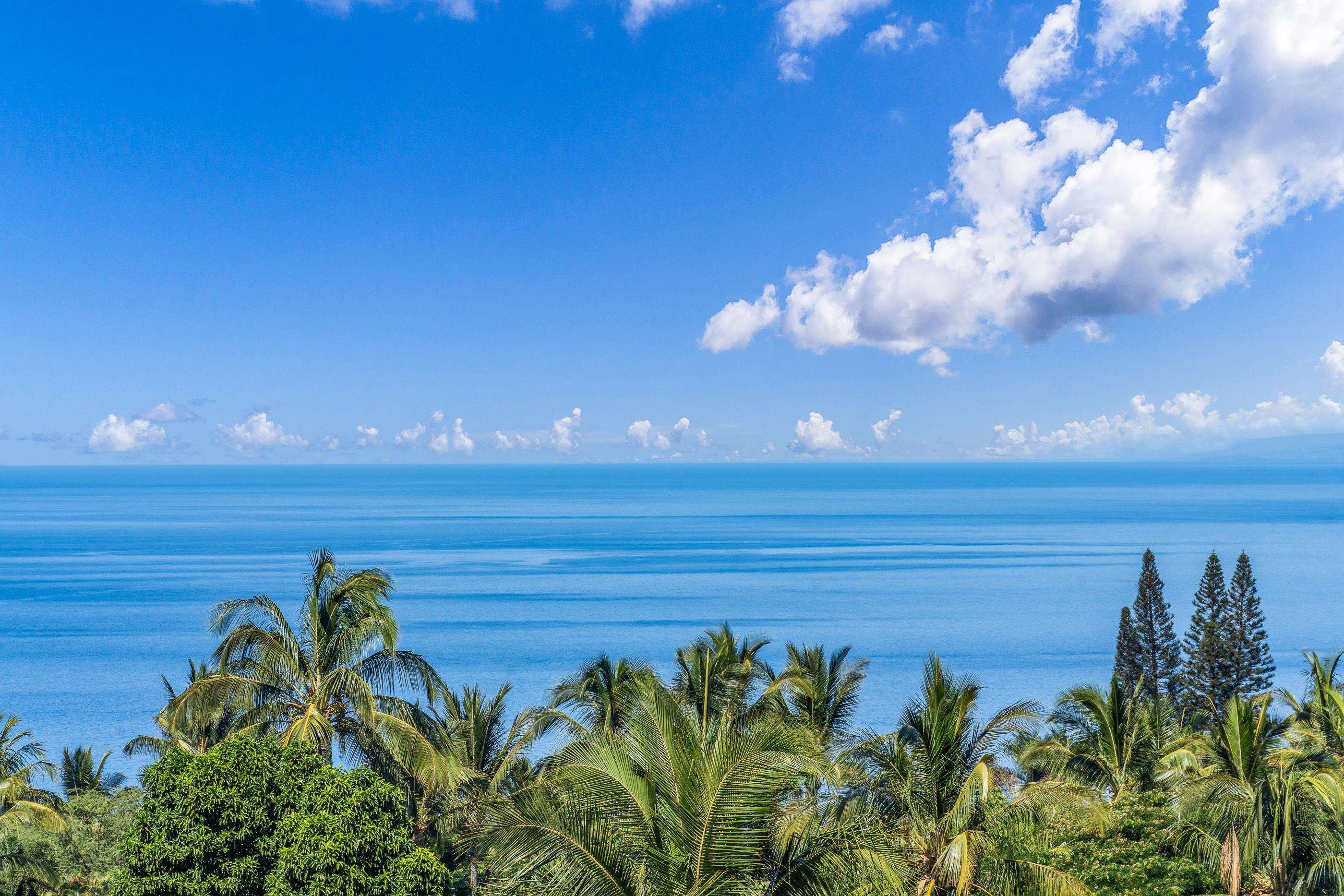 820 Kupulau Drive Kihei, HI 96753 - Photo 6 of 50 a view of a yard with an outdoor space
