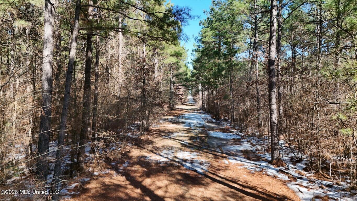 Debutte Road Bastrop, LA 71220 - Photo 15 of 28 DJI_20260202134911_0143_D (Medium)