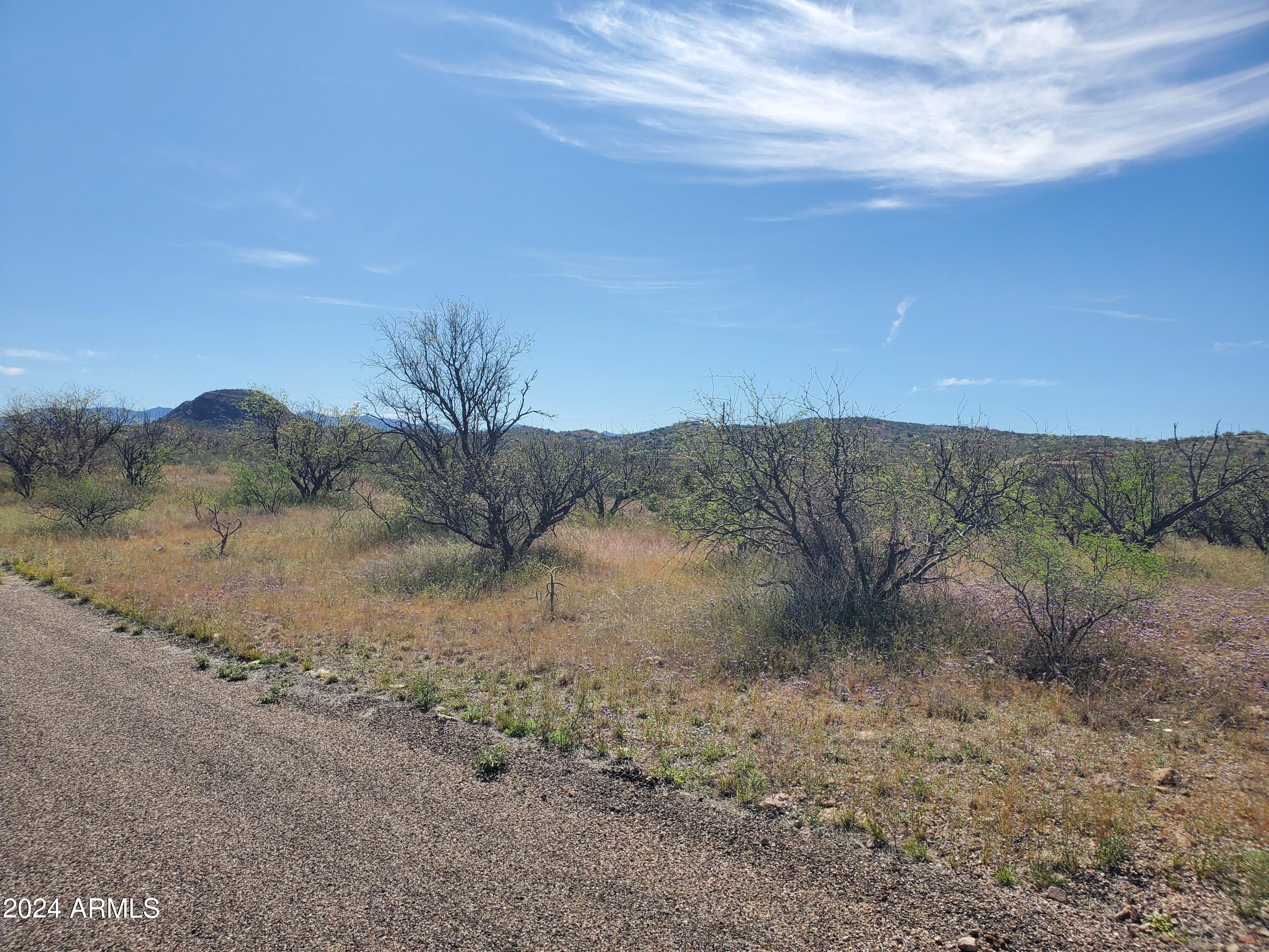 173 Via Ventosa, Unit 98 Rio Rico, AZ 85648 - Photo 2 of 10 a view of a dry yard with wooden fence