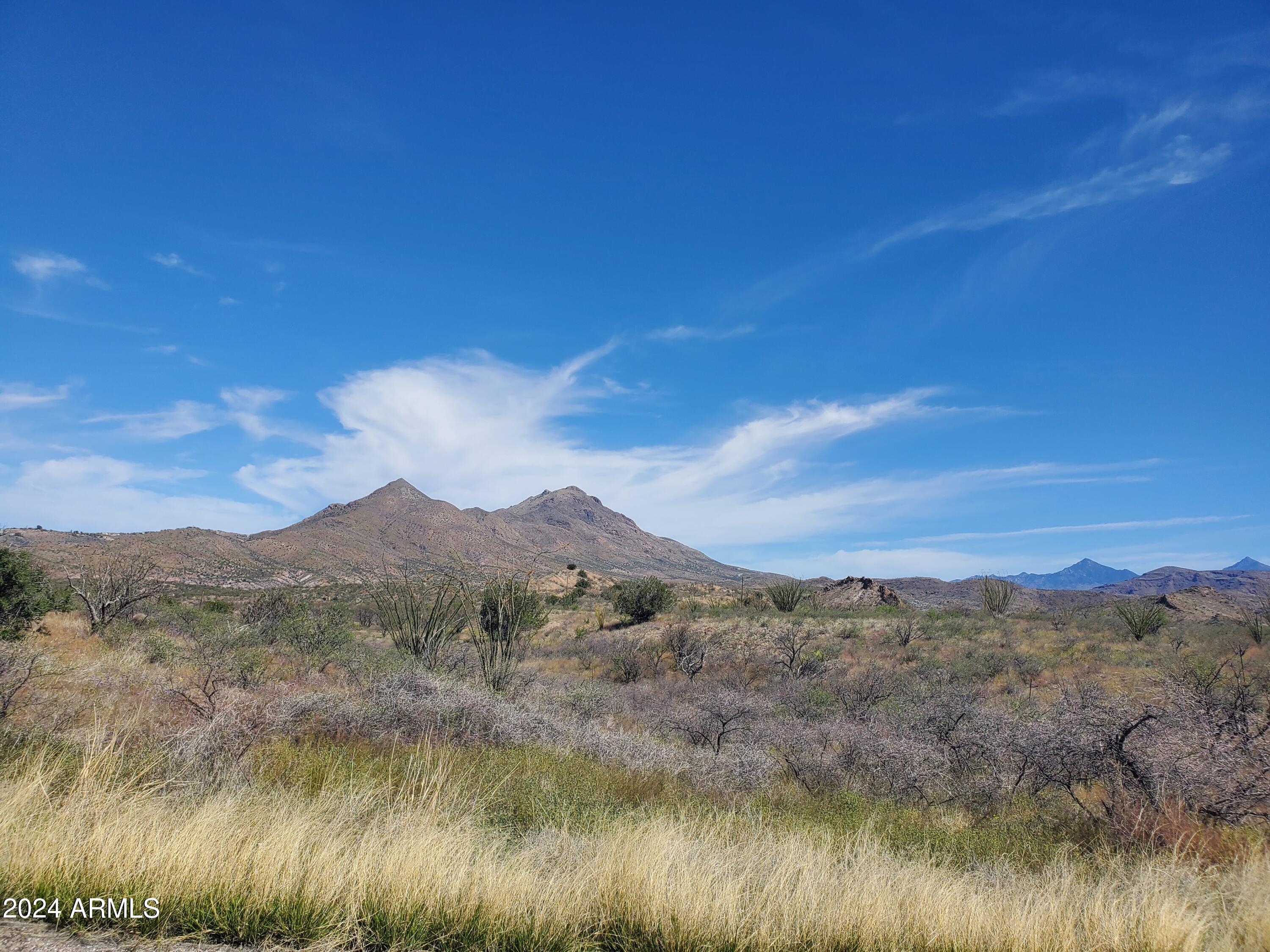 173 Via Ventosa, Unit 98 Rio Rico, AZ 85648 - Photo 7 of 10 20240418_094925