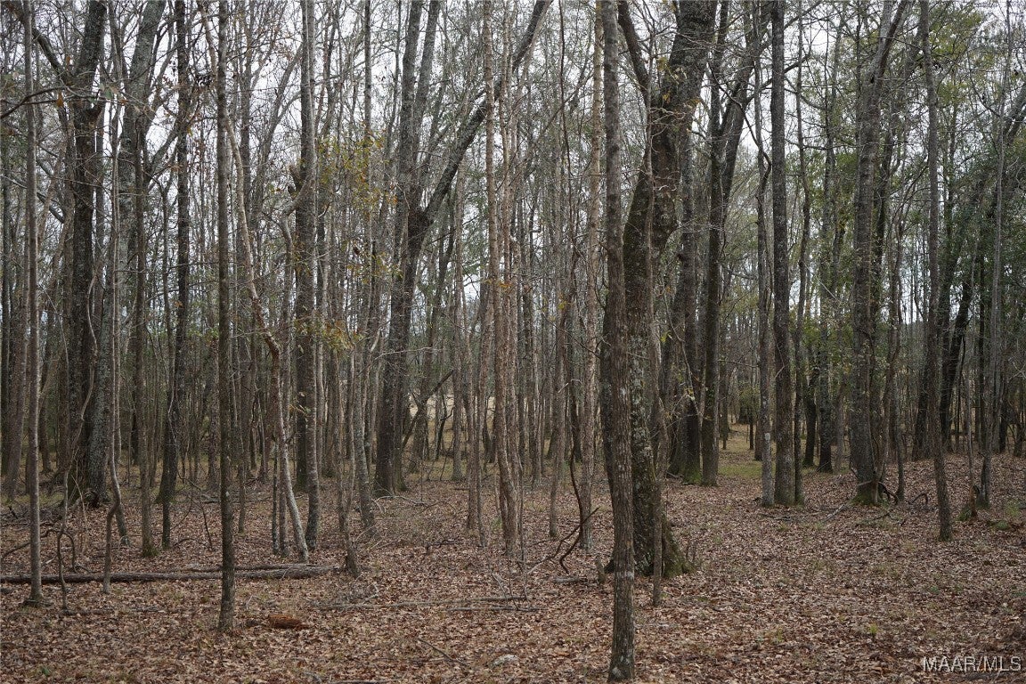 2434 Peake Road Ramer, AL 36069 - Photo 3 of 24 Gallery Image 3