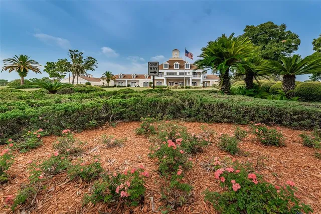 an aerial view of a flower garden with a lake view
