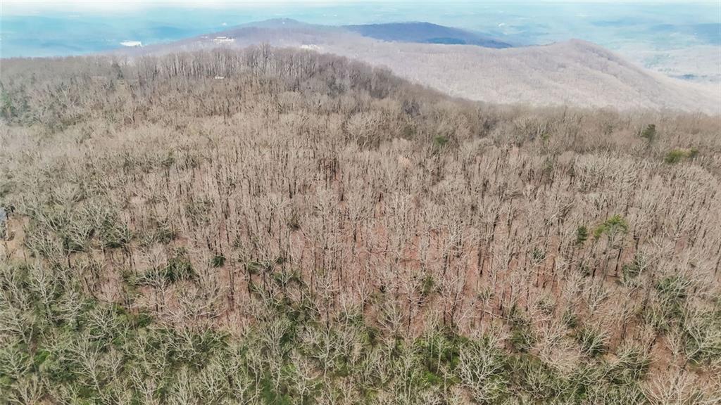 21 Andes Ridge Jasper, GA 30143 - Photo 13 of 14