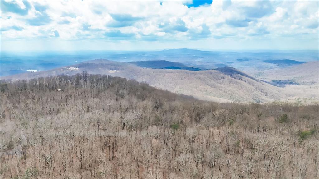 21 Andes Ridge Jasper, GA 30143 - Photo 14 of 14