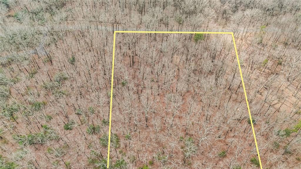 21 Andes Ridge Jasper, GA 30143 - Photo 2 of 14