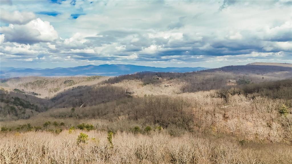 21 Andes Ridge Jasper, GA 30143 - Photo 4 of 14