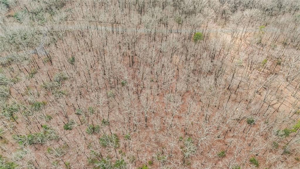 21 Andes Ridge Jasper, GA 30143 - Photo 5 of 14