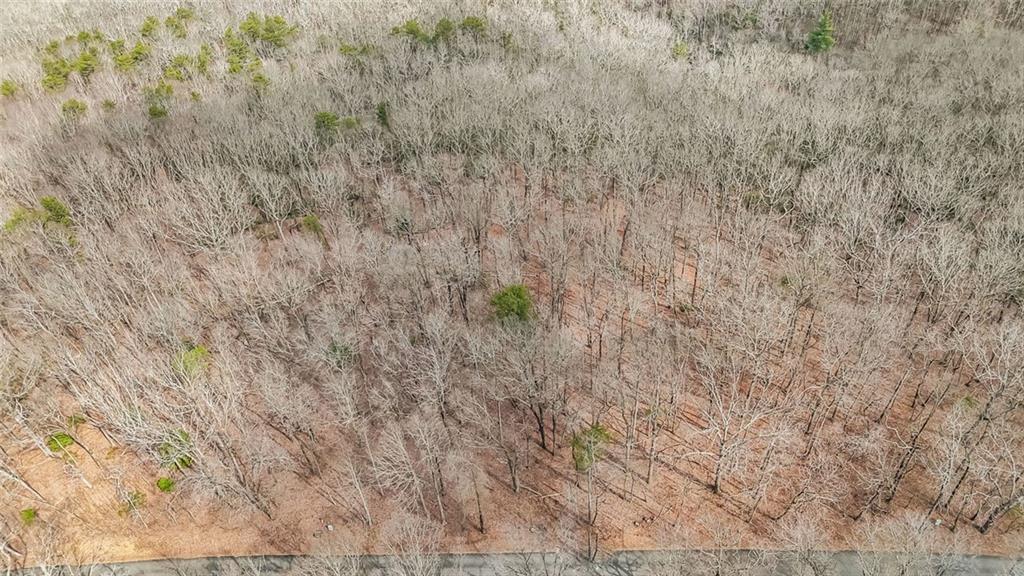 21 Andes Ridge Jasper, GA 30143 - Photo 8 of 14