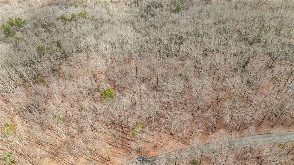 21 Andes Ridge Jasper, GA 30143 - Photo 10 of 14