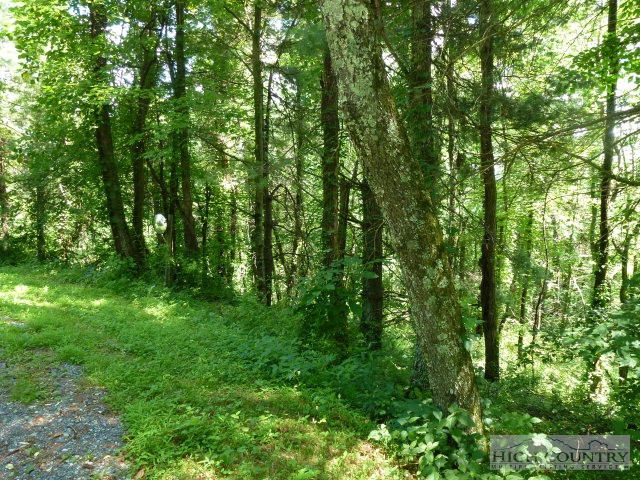 Racquet Road Boone, NC 28607 - Photo 2 of 2 Gallery Image 2