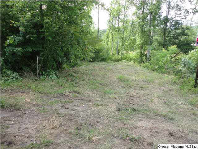 504 Journeys End Road, Unit 1 Ashville, AL 35953 - Photo 7 of 17