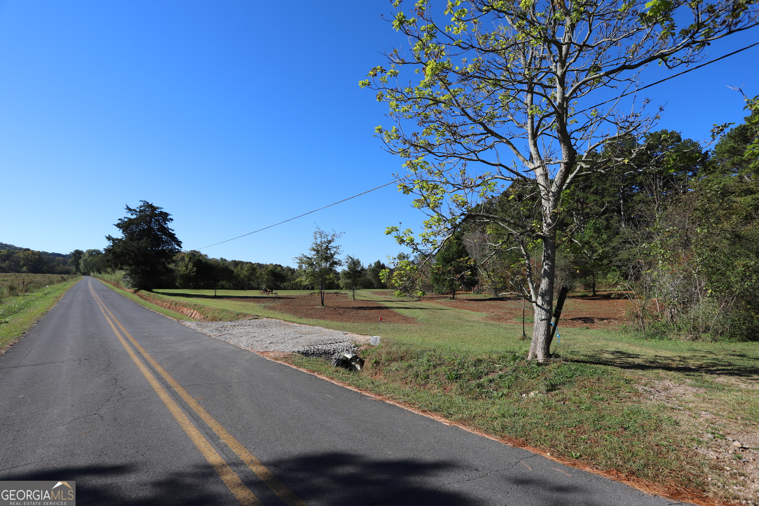 a view of a street with a yard and a large tree