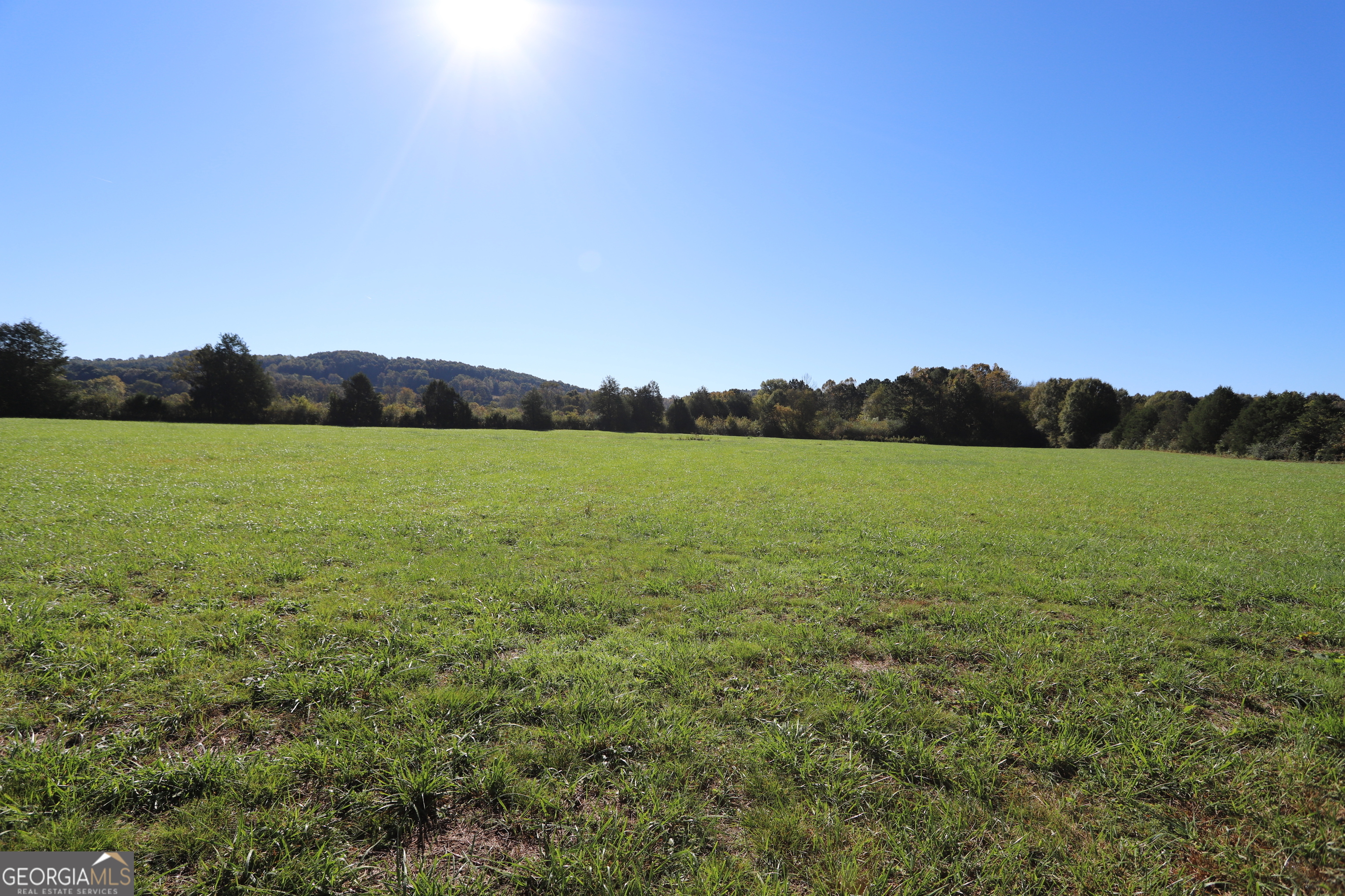 46 Buck Gardner Road Menlo, GA 30731 - Photo 24 of 40