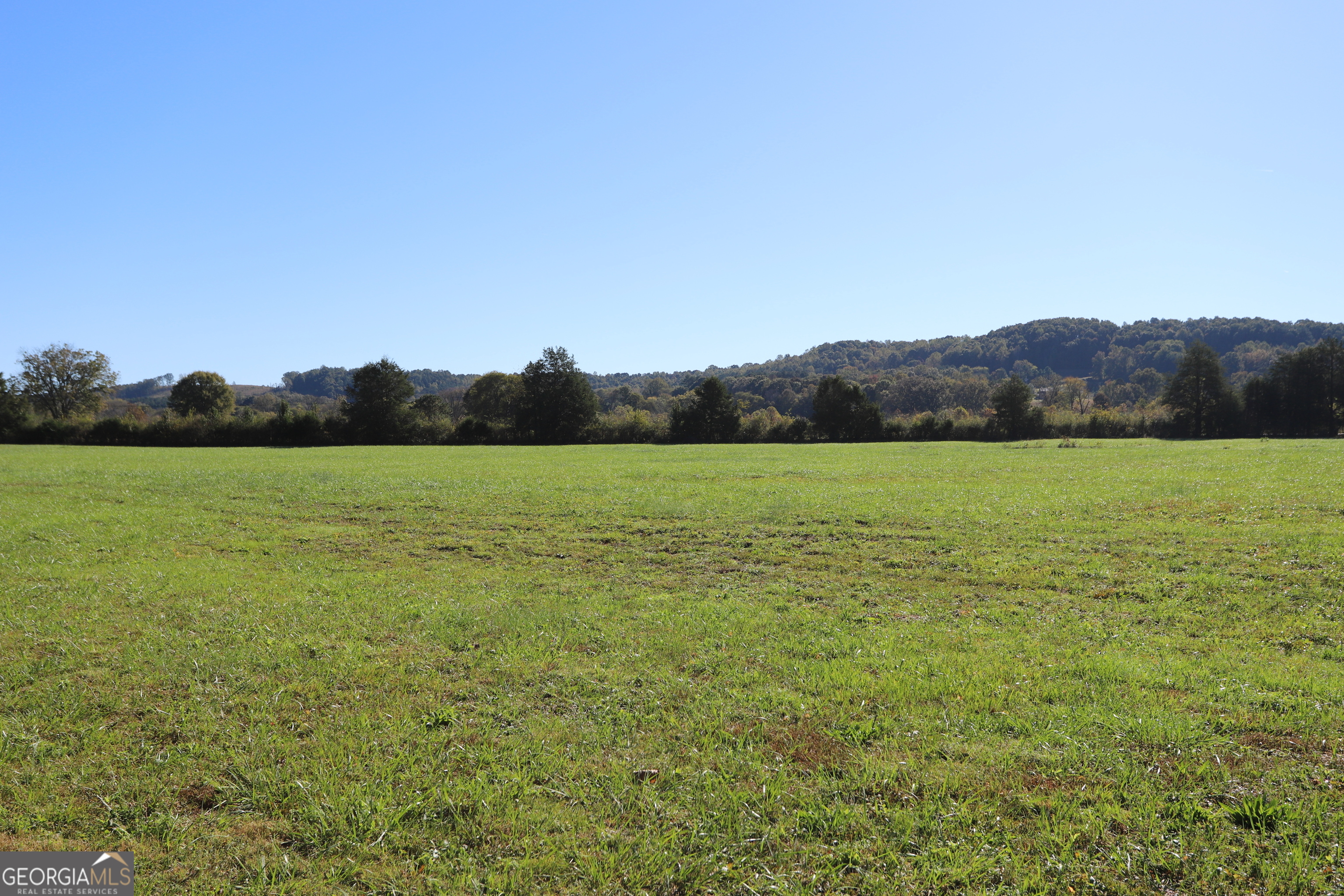 46 Buck Gardner Road Menlo, GA 30731 - Photo 32 of 40