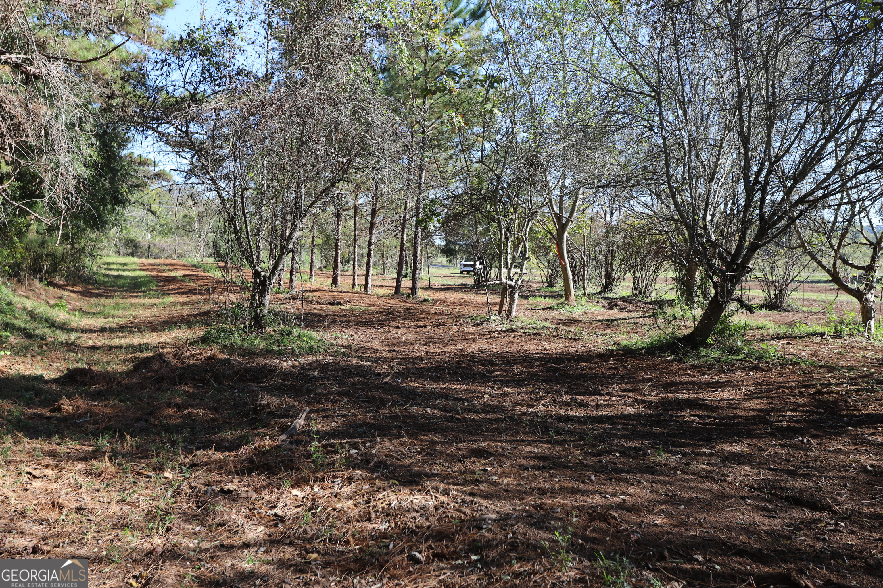 46 Buck Gardner Road Menlo, GA 30731 - Photo 36 of 40