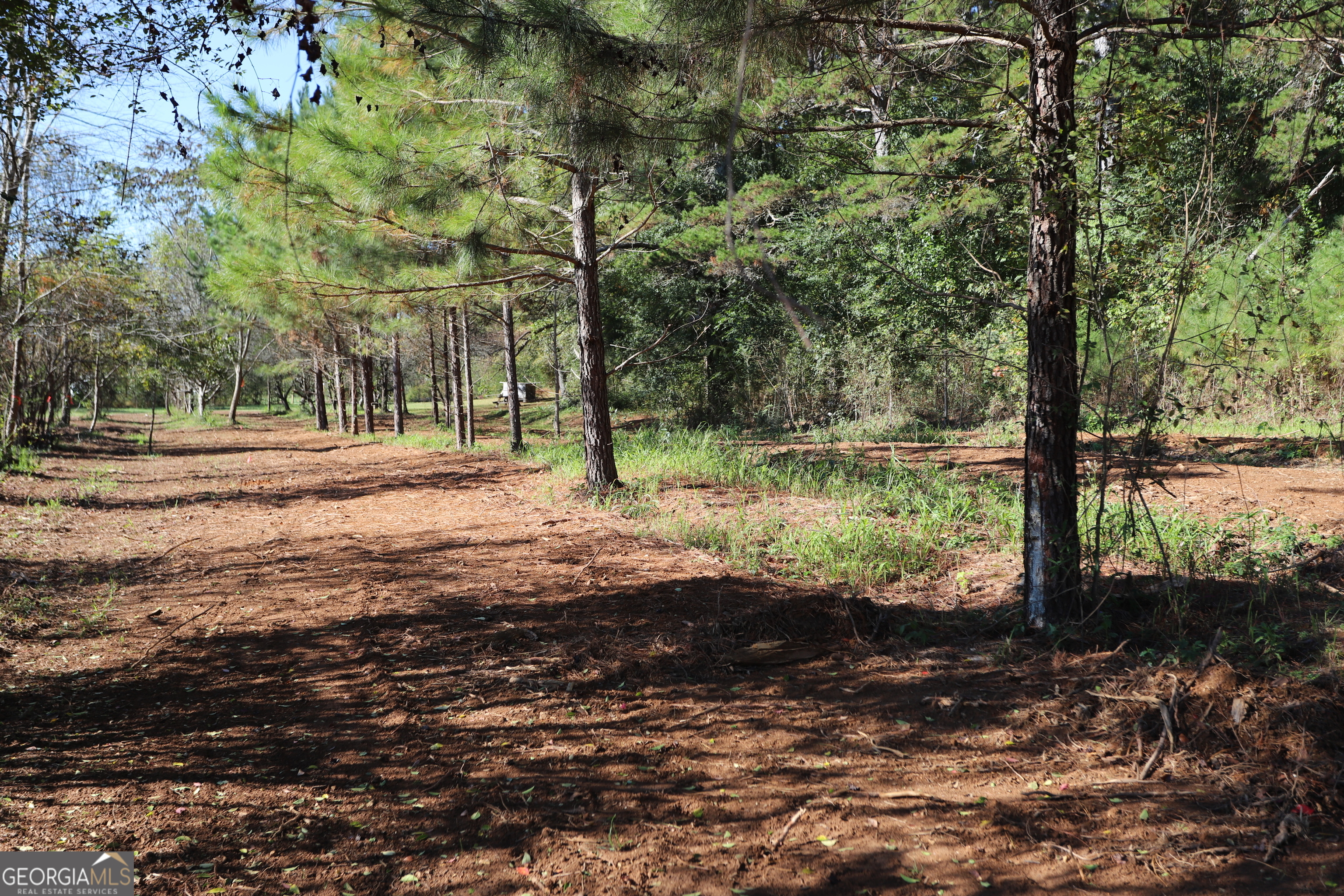 46 Buck Gardner Road Menlo, GA 30731 - Photo 7 of 40