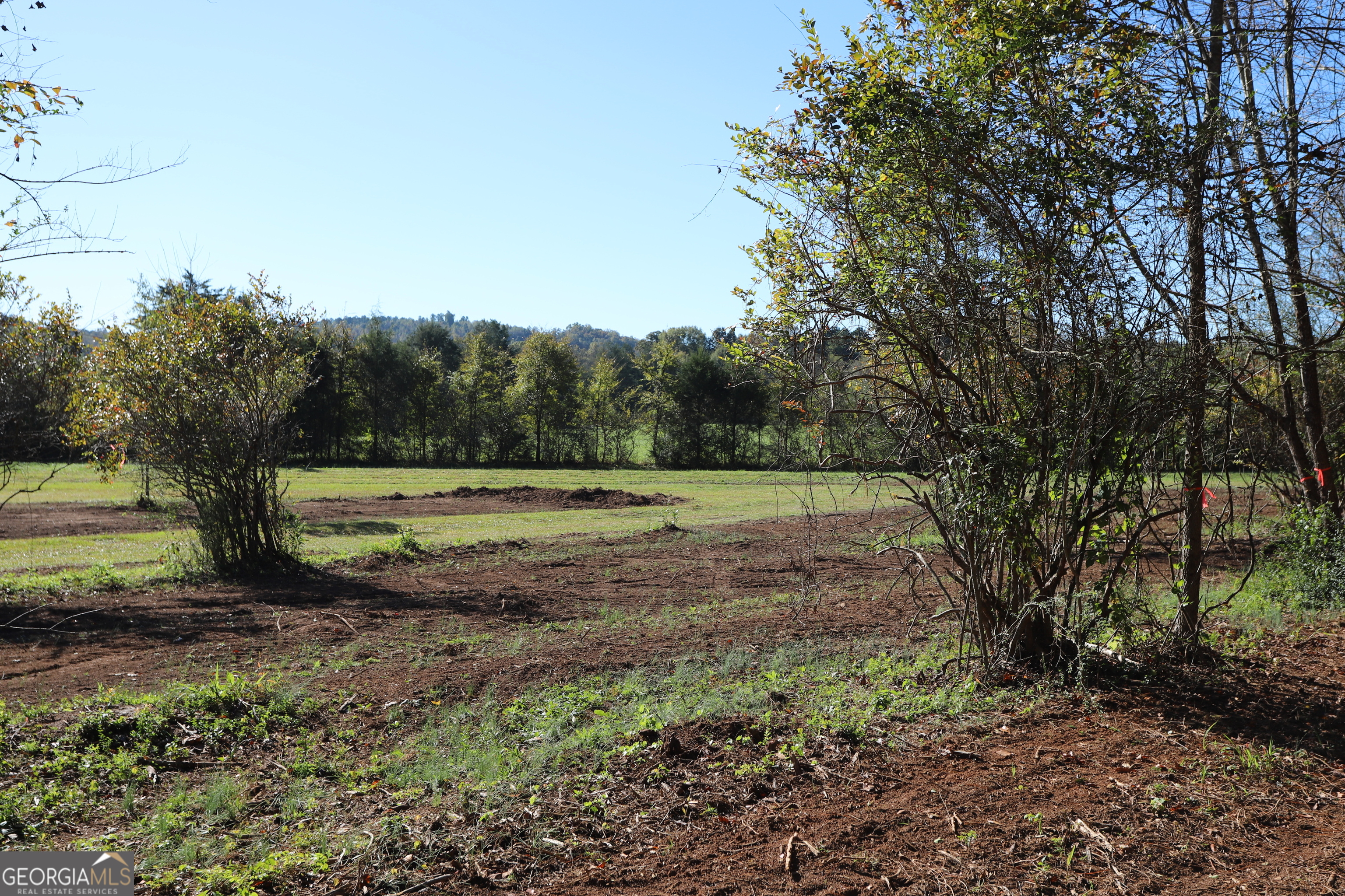 46 Buck Gardner Road Menlo, GA 30731 - Photo 8 of 40